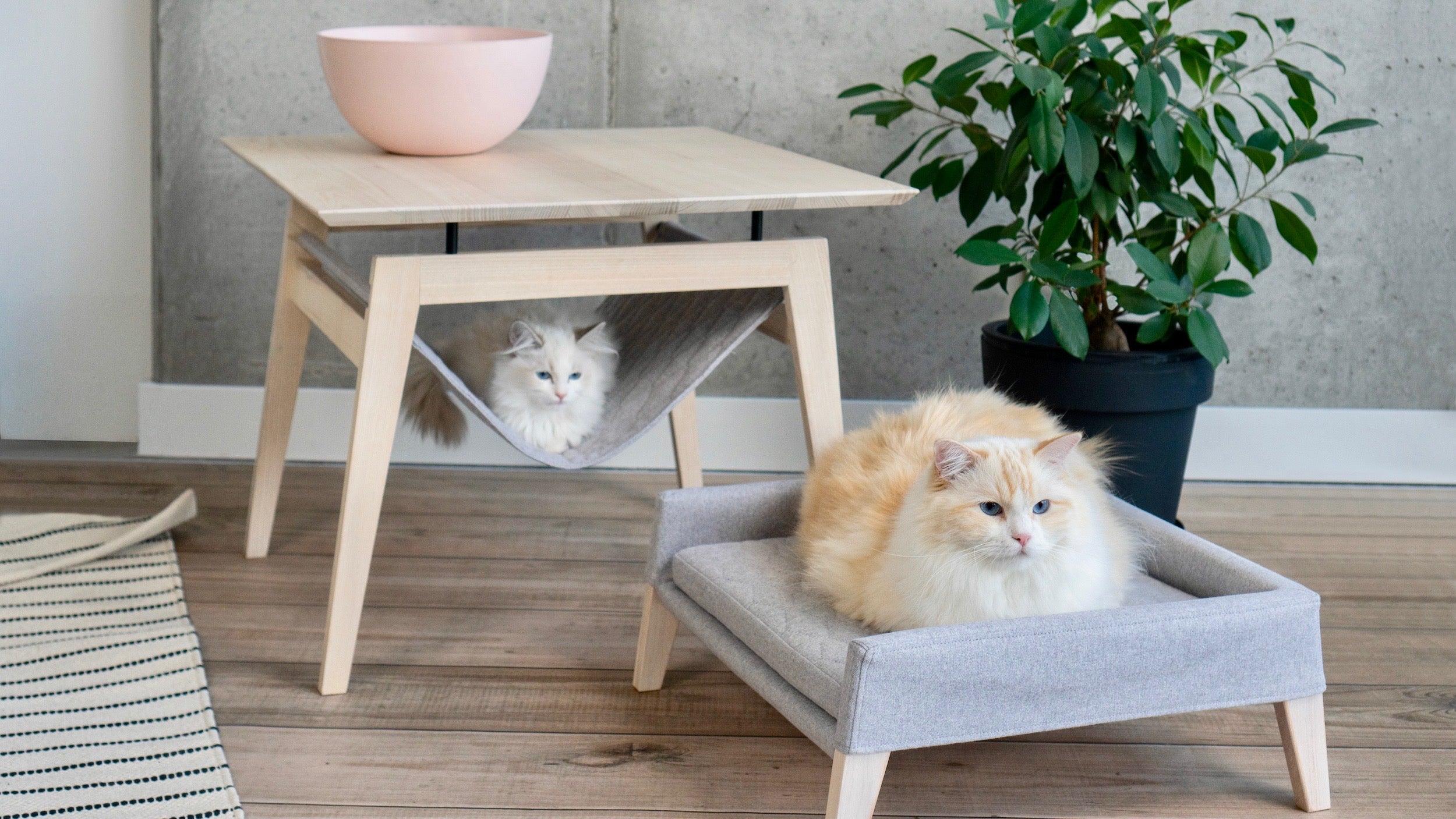 Kikko Katzentisch von LABBVENN in Grau – Couchtisch aus Eschenholz mit Katzen-Hängematte, 60x60x50 cm