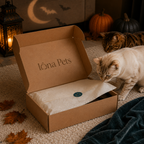 Überraschungsbox Halloween Edition – Lona Pets
