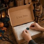 Überraschungsbox Halloween Edition – Lona Pets