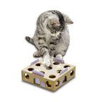 Activity Box – Smart Cat