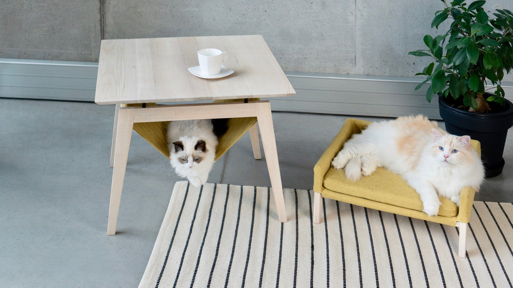 Kikko Katzentisch von LABBVENN in Honiggelb – Couchtisch aus Eschenholz mit Katzen-Hängematte, 60x60x50 cm