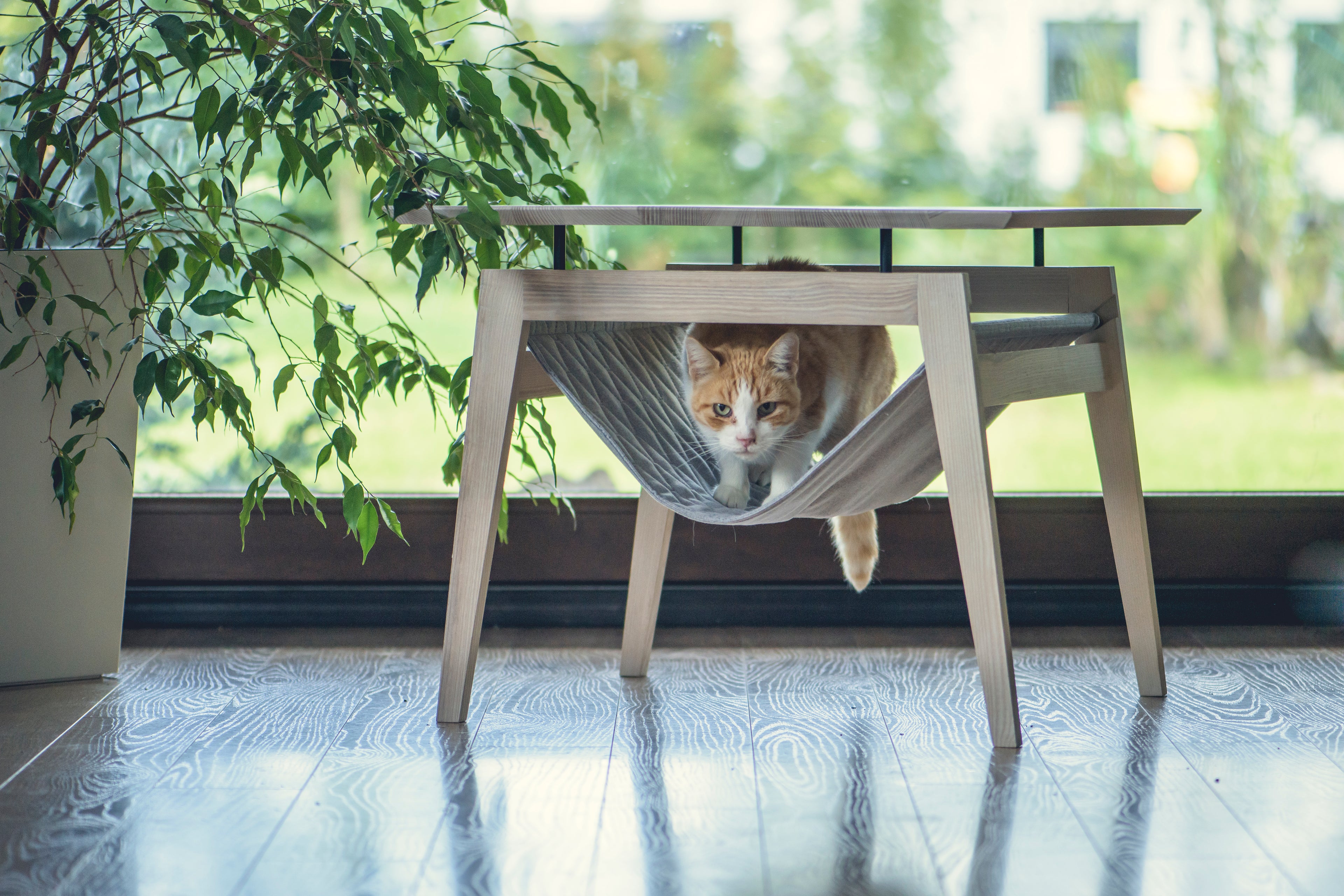 Kikko Katzentisch von LABBVENN in Grau – Couchtisch aus Eschenholz mit Katzen-Hängematte, 60x60x50 cm