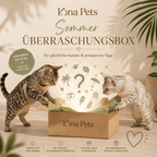 ☀️ Lona Pets Sommerbox #001 – Limitierte Überraschungsbox für Katzen