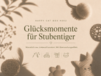 Glücksmomente für Stubentiger | Happy Cat Box #002 | Lona Pets