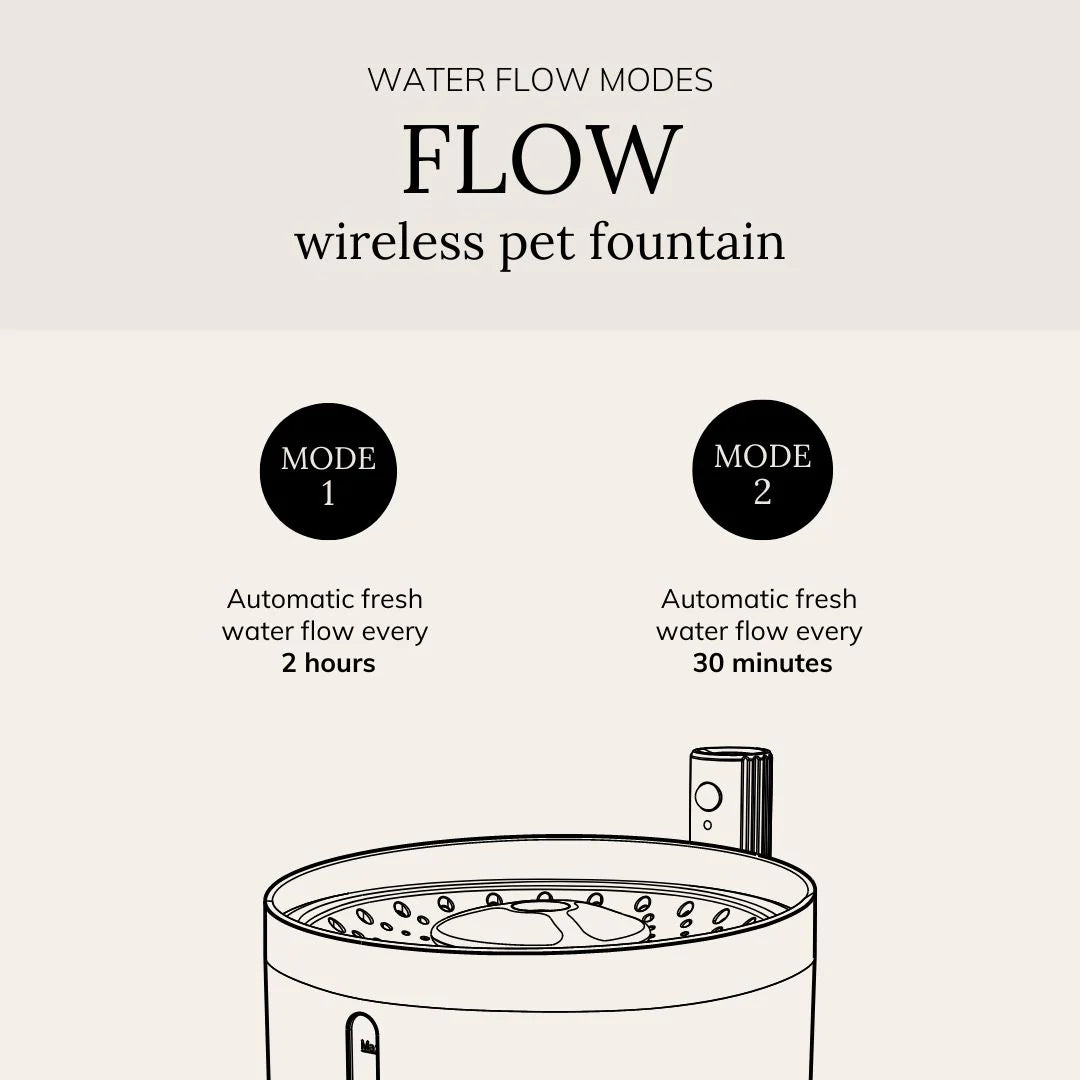 FLOW 2,2 L kabelloser Trinkbrunnen – District 70