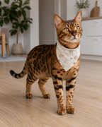 Bandana Nala – Lona Pets