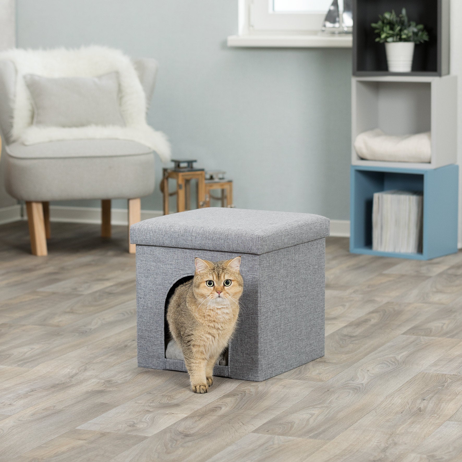 Katzen-Sitzhocker Alois faltbar – Trixie