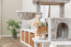 Junior Kratzbaum Pepito – Trixie