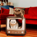 TELLY Retro-Kratzmöbel aus Wellpappe – District 70