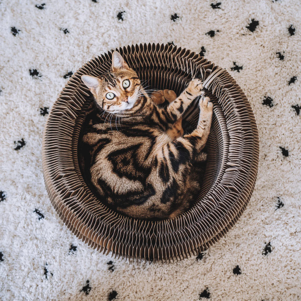 MAZE 5-in-1 Kratzbett für Katzen – District 70