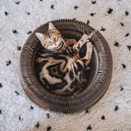MAZE 5-in-1 Kratzbett für Katzen – District 70