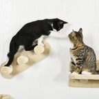 Kletterwand-Set 4-teilig – PawHut