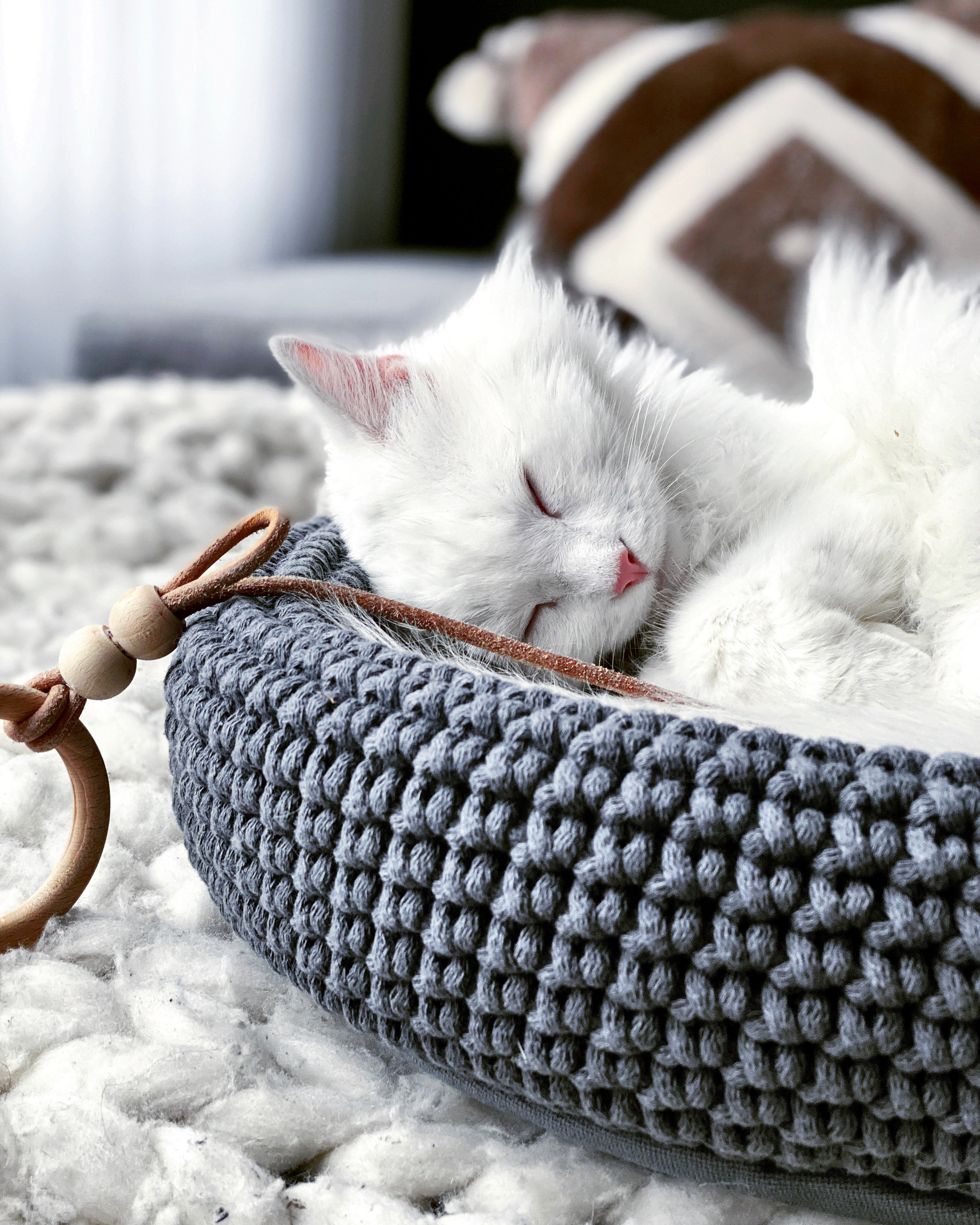 COCO Katzenkorb – LABBVENN