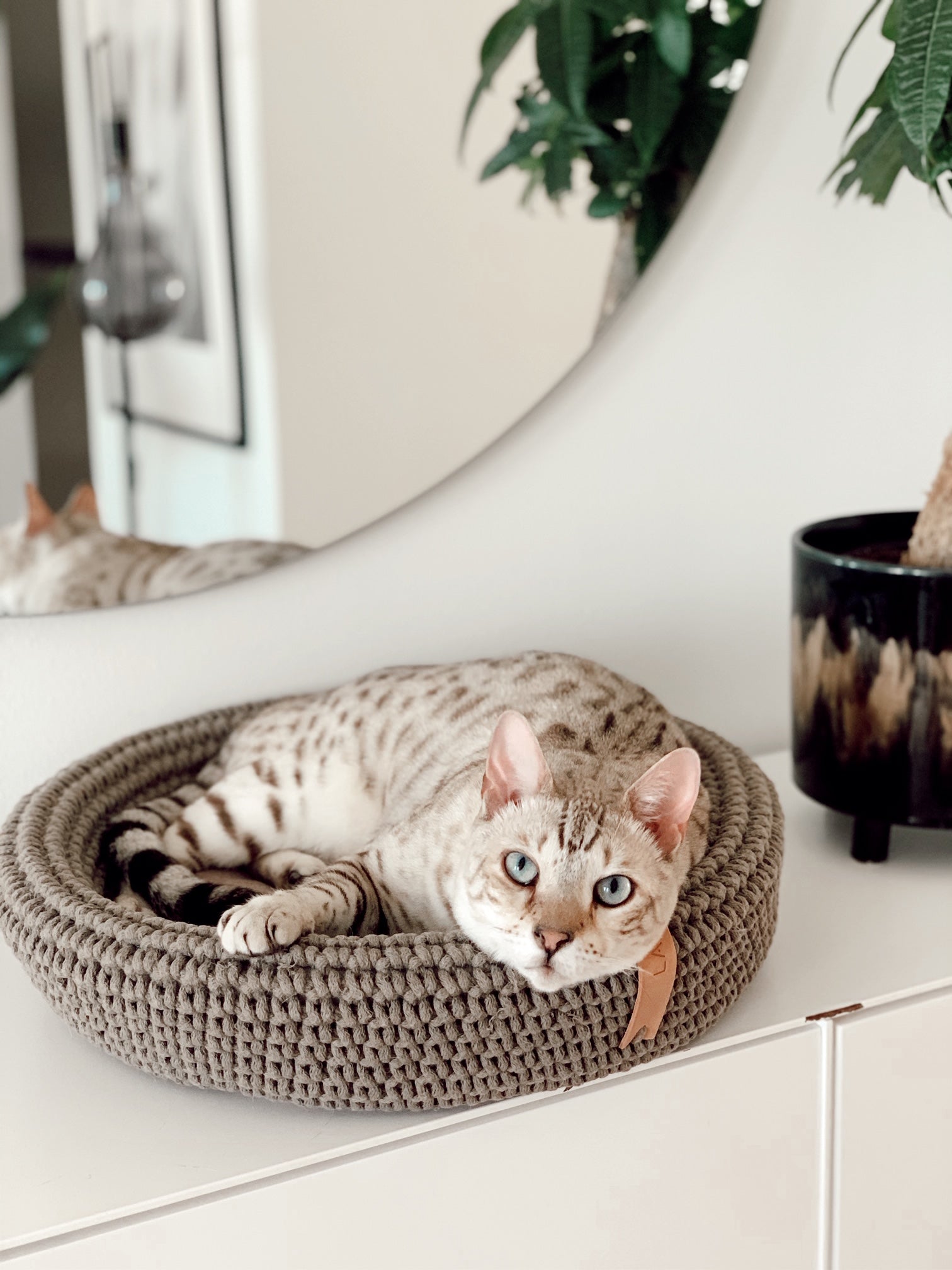 COCO Katzenkorb – LABBVENN