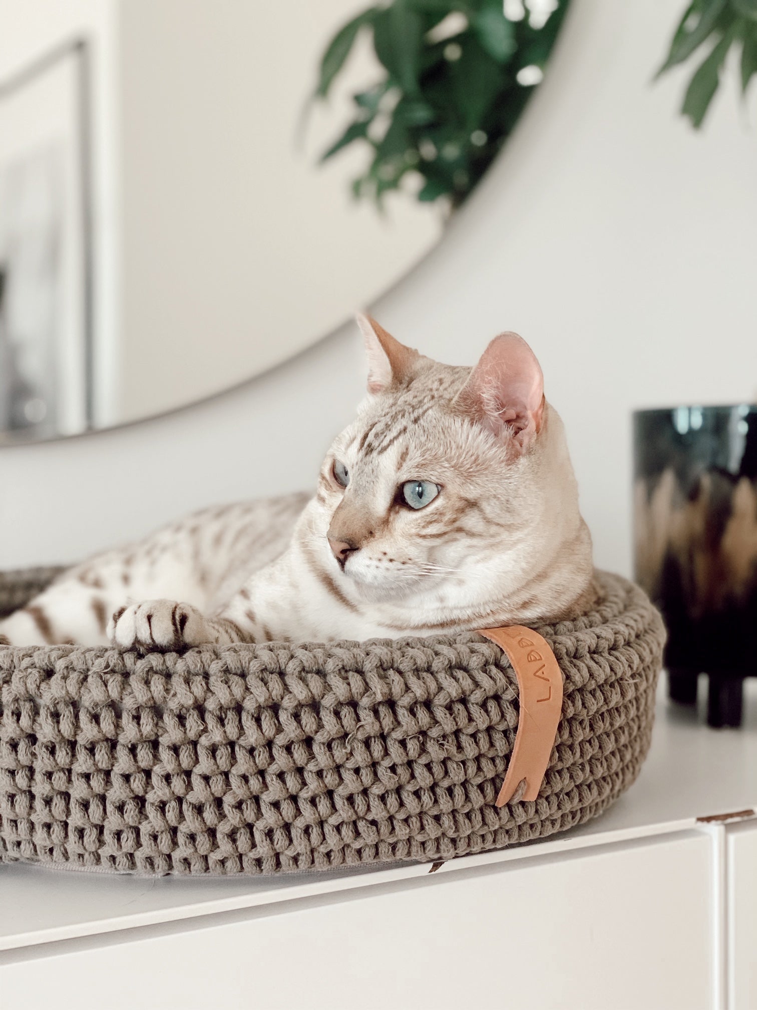 COCO Katzenkorb – LABBVENN