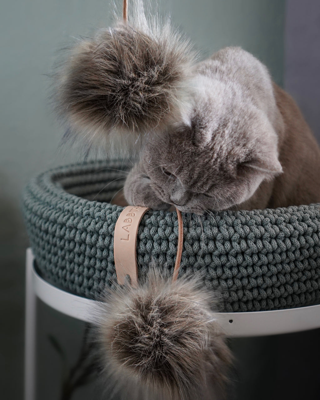 COCO Katzenkorb – LABBVENN