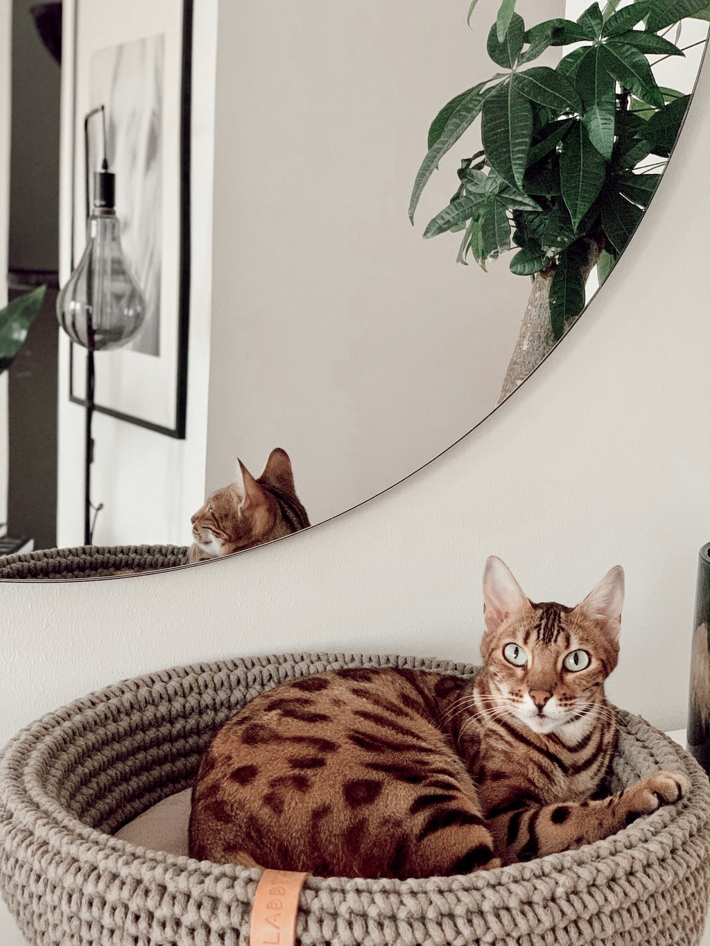 COCO Katzenkorb – LABBVENN