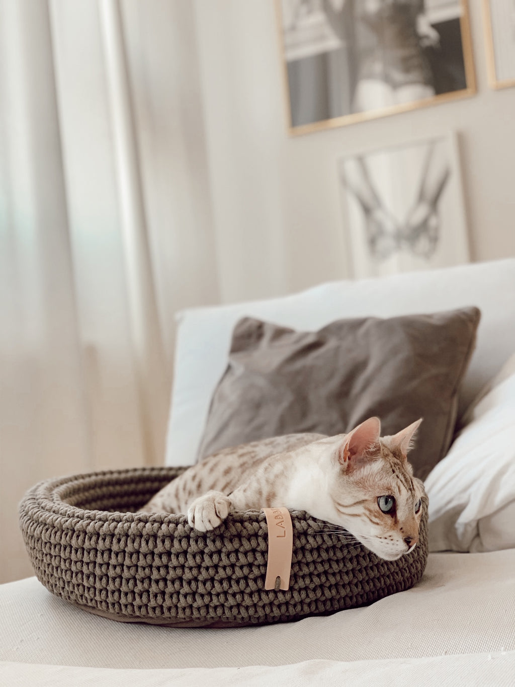 COCO Katzenkorb – LABBVENN