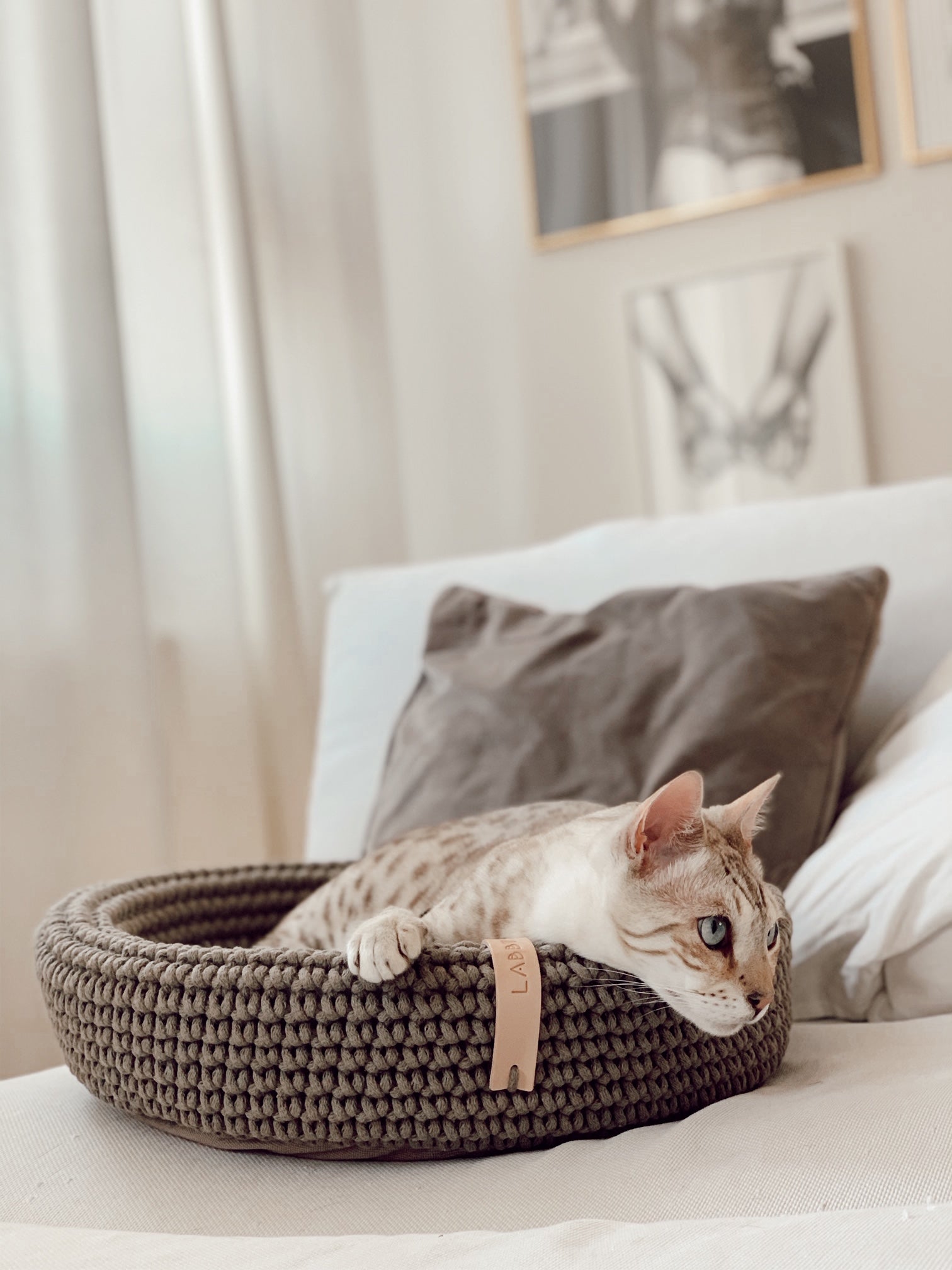 COCO Katzenkorb – LABBVENN