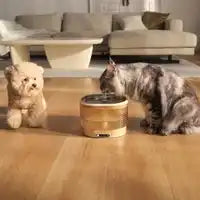 ROLA Smart Fountain – Enabot