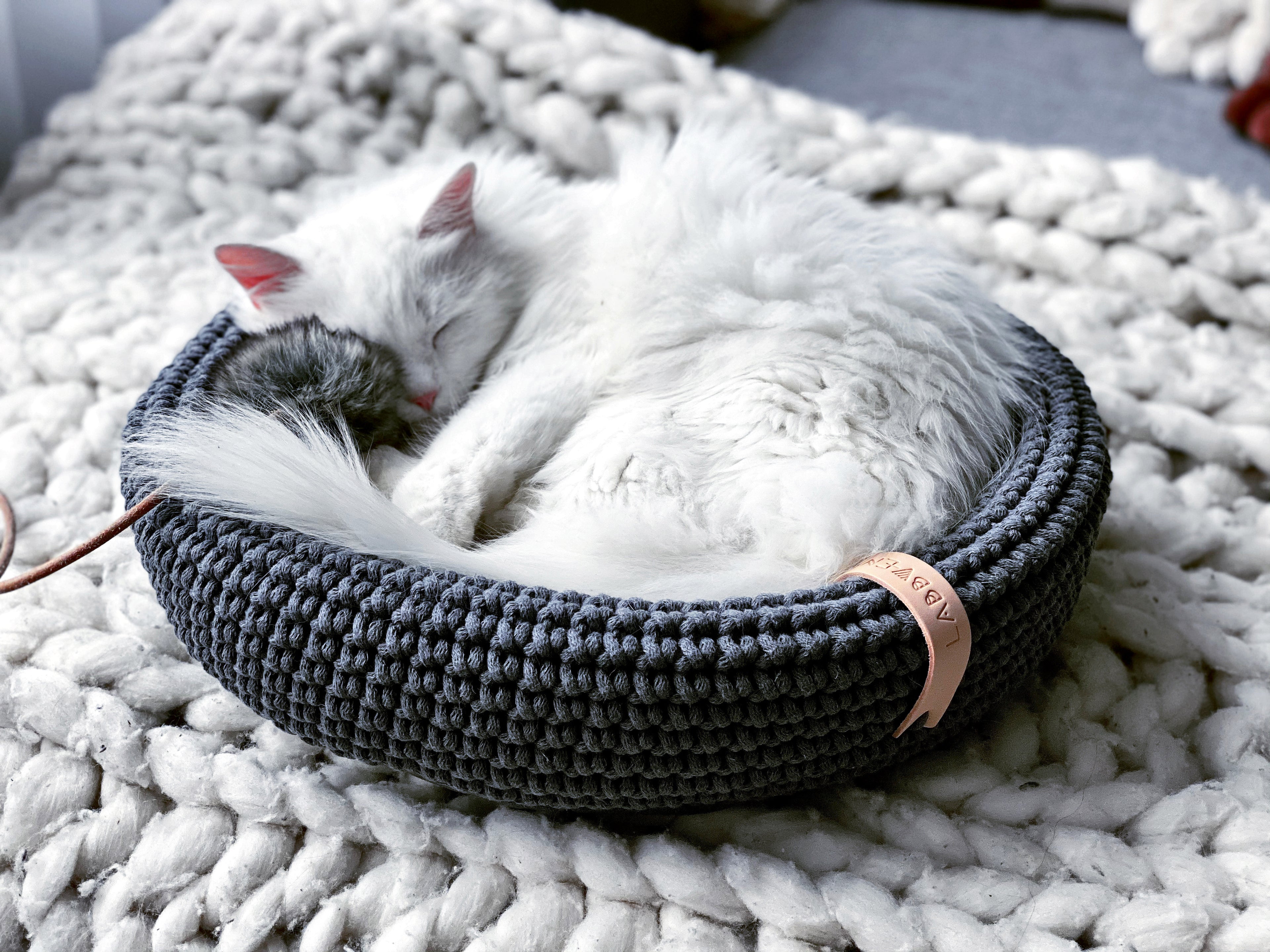 COCO Katzenkorb – LABBVENN
