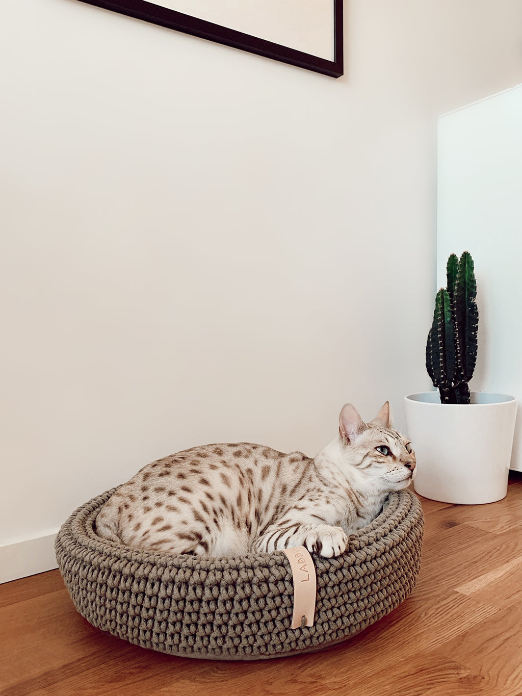 COCO Katzenkorb – LABBVENN