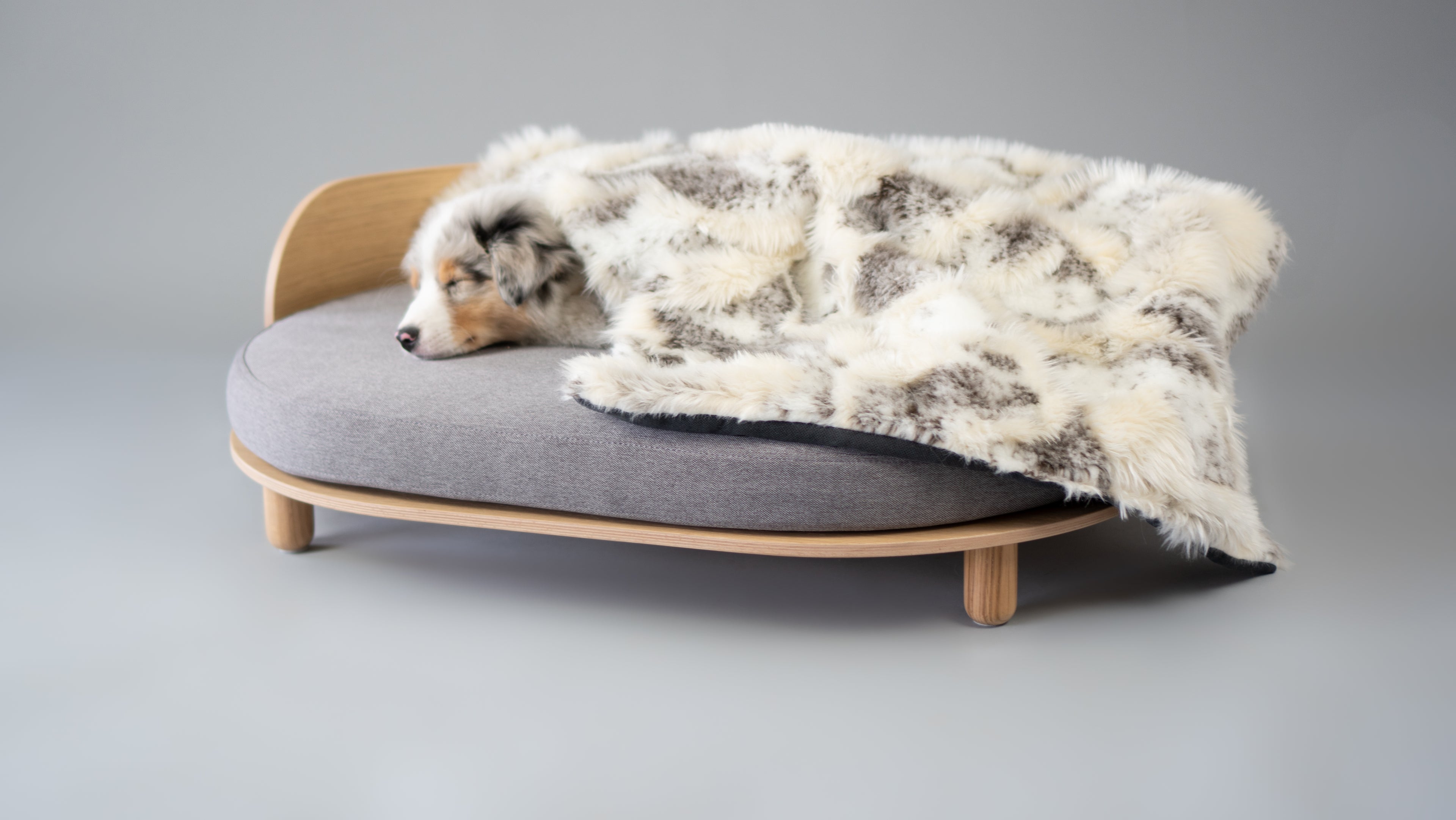 Föra Katzendecke – LABBVENN