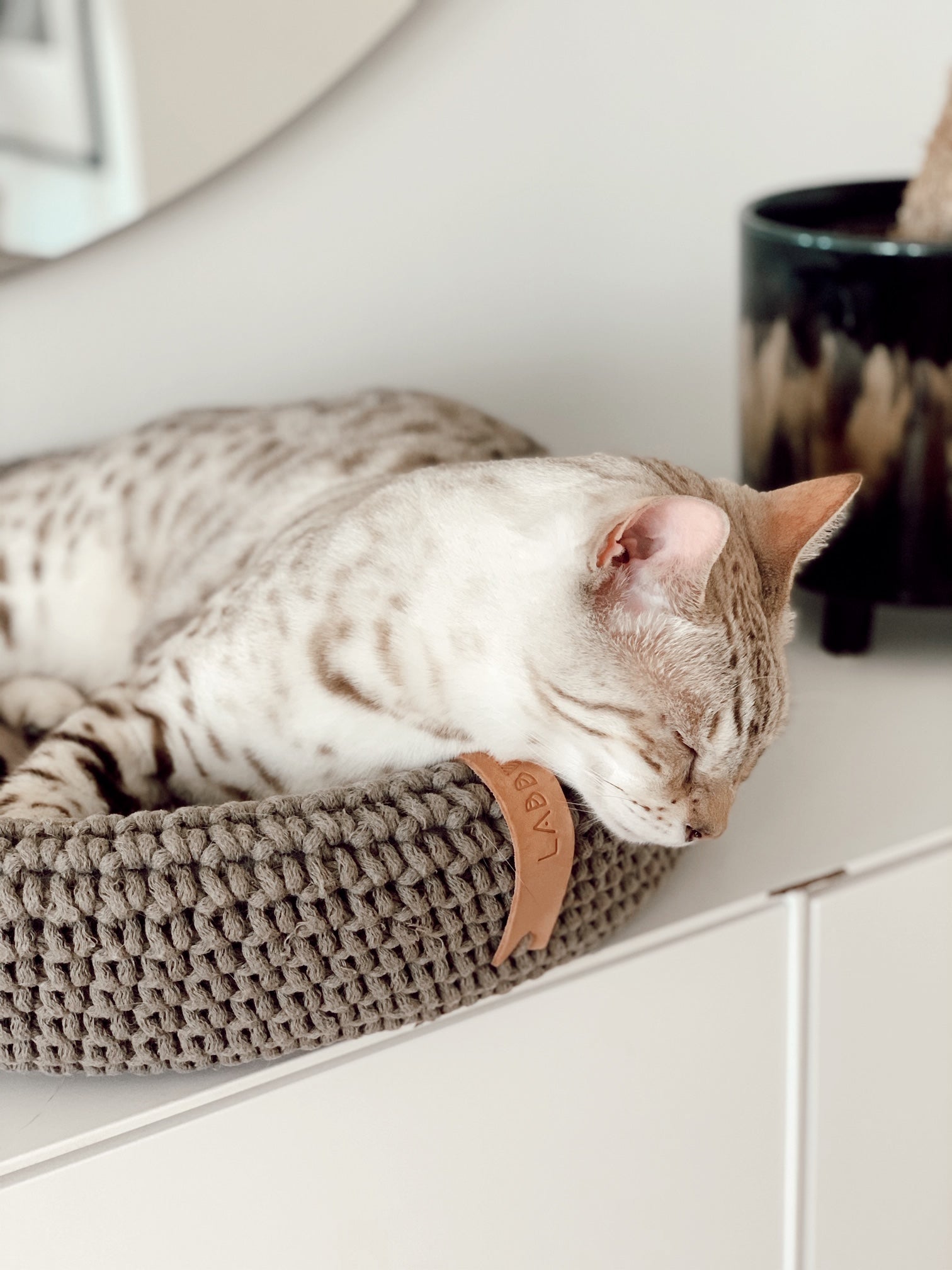 COCO Katzenkorb – LABBVENN