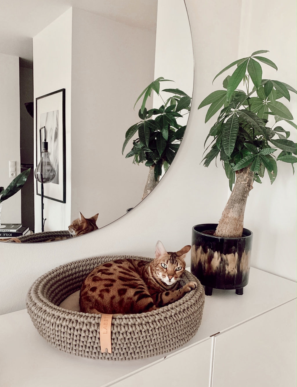 COCO Katzenkorb – LABBVENN
