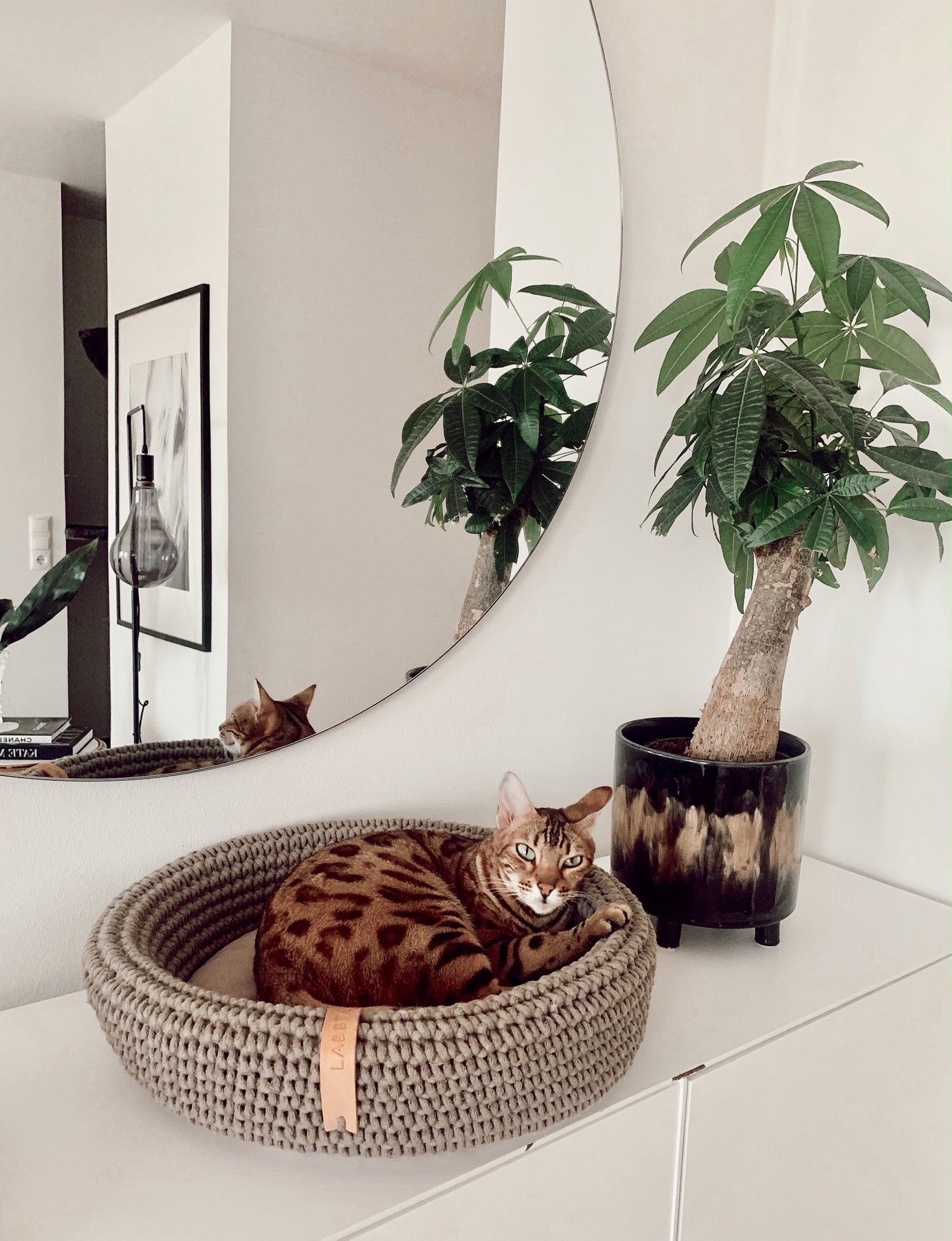 COCO Katzenkorb – LABBVENN