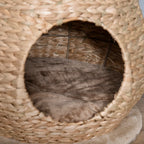 Kratzbaum mit Höhle & Spielzeug – PawHut