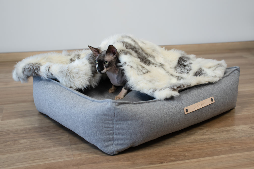 Föra Katzendecke – LABBVENN