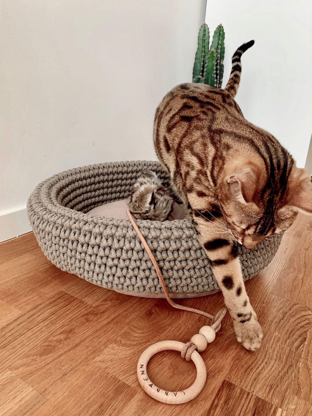 COCO Katzenkorb – LABBVENN