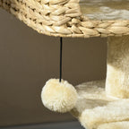 Kratzbaum mit Katzenhaus – PawHut