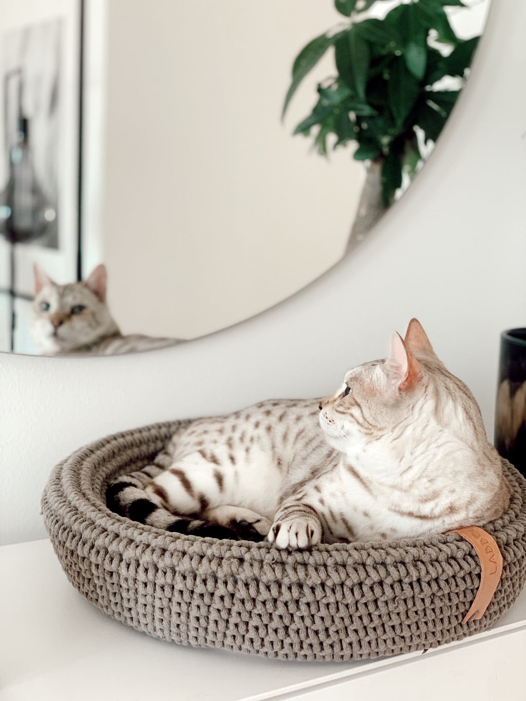 COCO Katzenkorb – LABBVENN
