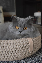 COCO Katzenkorb – LABBVENN